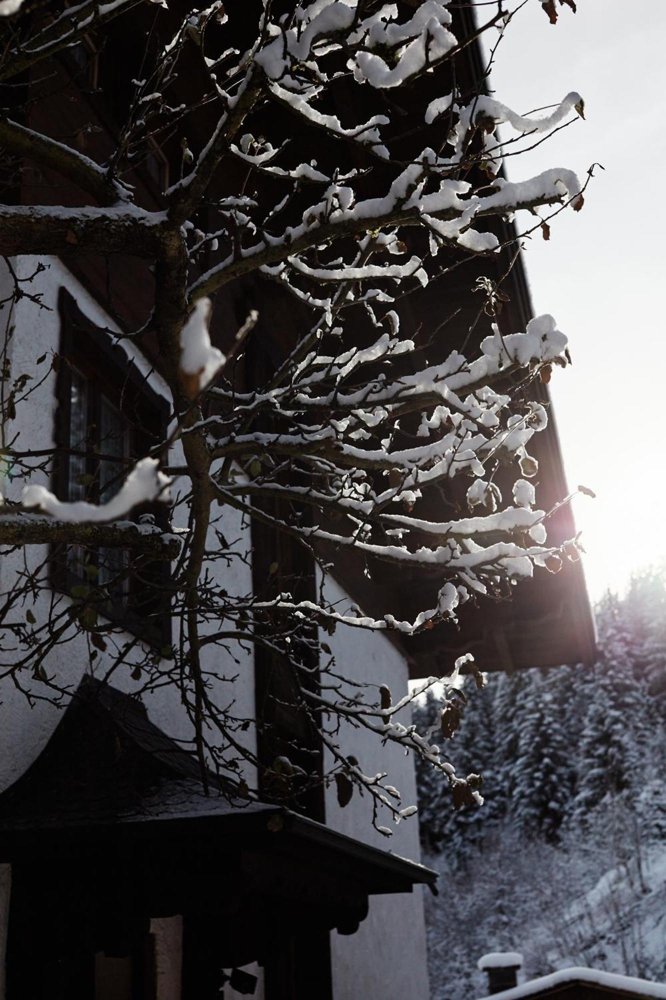 Haus Talblick Apartment Bad Gastein Exterior foto