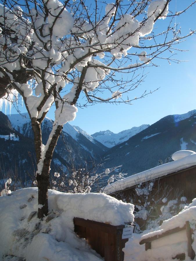 Haus Talblick Apartment Bad Gastein Exterior foto
